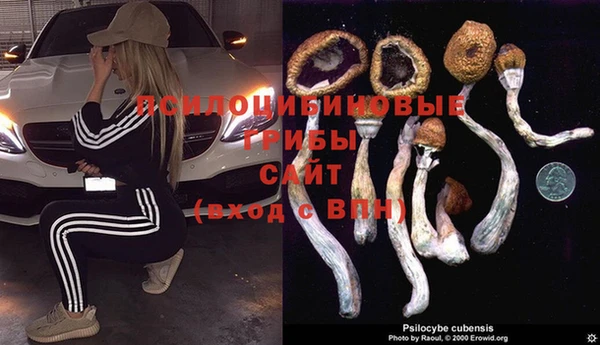 бошки Лихославль